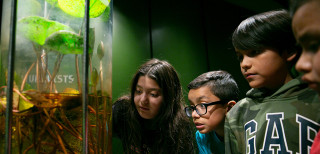 For Educators | Natural History Museum Of Utah